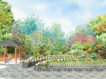 小石川ひかりの森 光円寺 樹木葬